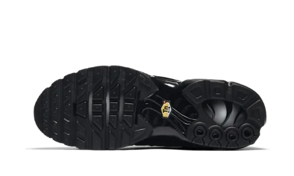 Nike Air Max Plus Triple Black