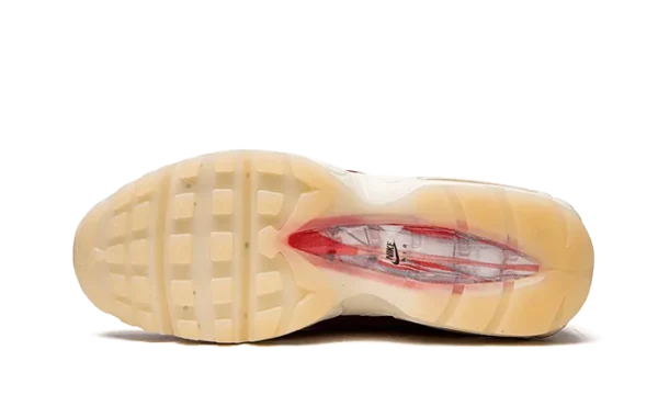 Nike Air Max 95 Anatomy of Air