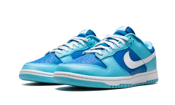 Nike Dunk Low Argon